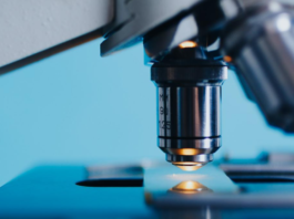 Plättchenreiches Fibrin: Seine Rolle bei der parodontalen Regeneration