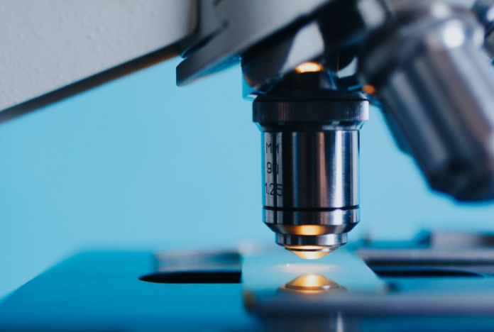 Plättchenreiches Fibrin: Seine Rolle bei der parodontalen Regeneration