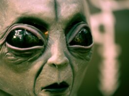 Sind wir alleine? Außerirdisch Leben im Universum